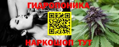 молекула духа Волжск