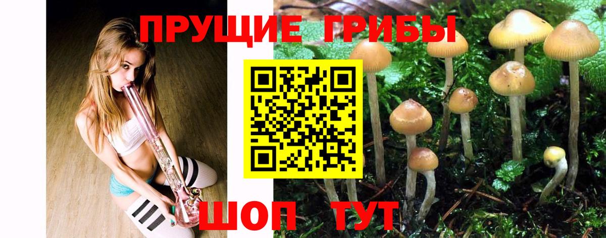 Галлюциногенные грибы мицелий Белореченск